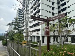 Blk 495A Tampines Street 43 (Tampines), HDB Executive #457928361